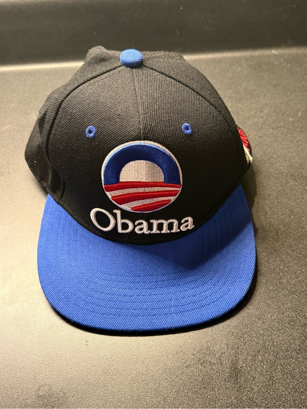 Embroidered Black and Blue Logo Snapback Hat